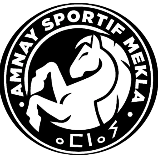 Amnay Logo