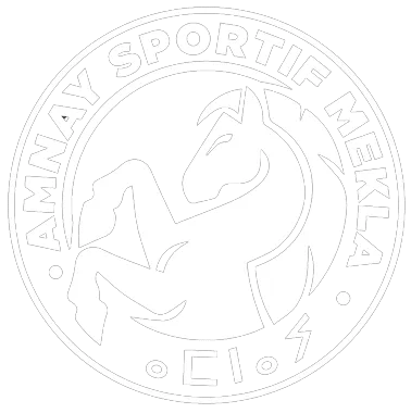Amnay Logo